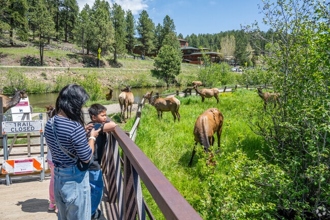 Homestead residents can see a variety of wildlife at popular Evergreen Lake.