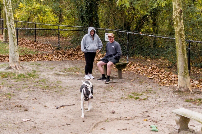The Ballentine Bark Park is a great way for resident and their canine companions to get outside.