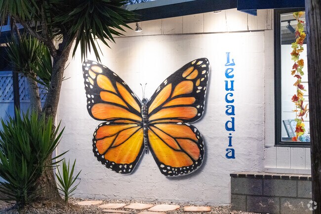 Monarch butterflies can often be seen fluttering through Leucadia’s coastal gardens.