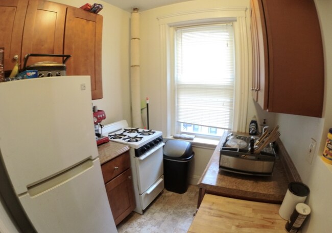 1462 Commonwealth Ave unit 11, Boston, MA 02135 - photo 4