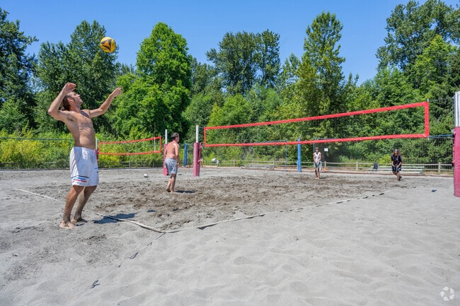 Test your skills against the locals at the volleyball pit in Juanita Beach Park.