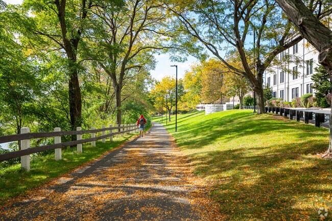 Embrace the greenery when walking along the path within the Chelsea Naval Park.