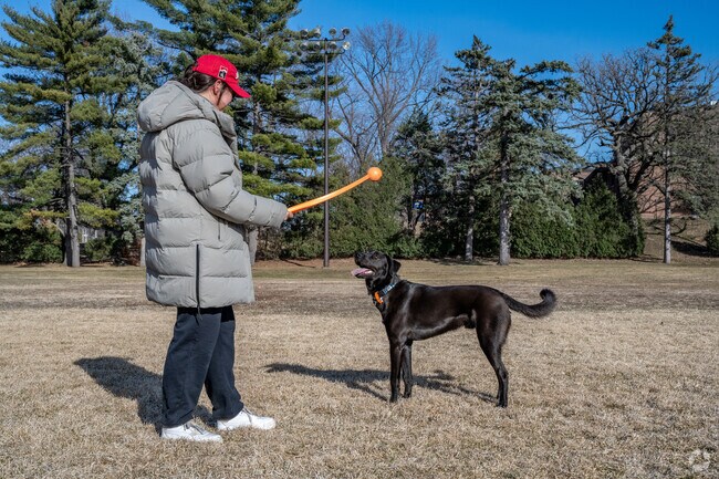 McRae Park is an ideal place to play fetch.