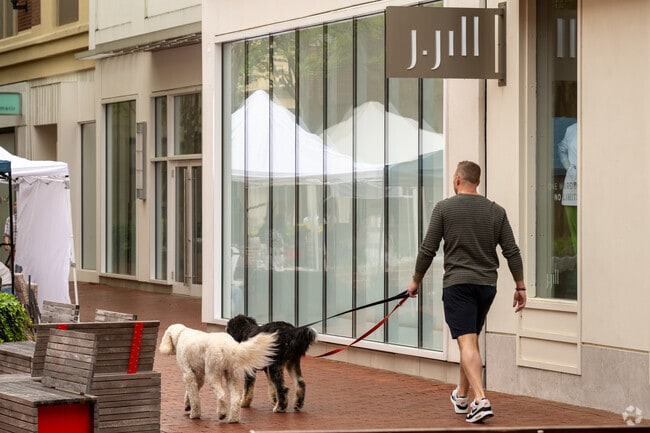 Stony Point Fashion Park is the only local mall that allows you to bring your dog while you shop