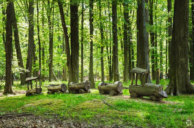 Avon Lake is known for its vast tree canopies and extensive wooded public parks.