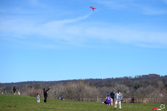 Kites fly high in Overpeck County Park just minutes from Ridgefield Park.