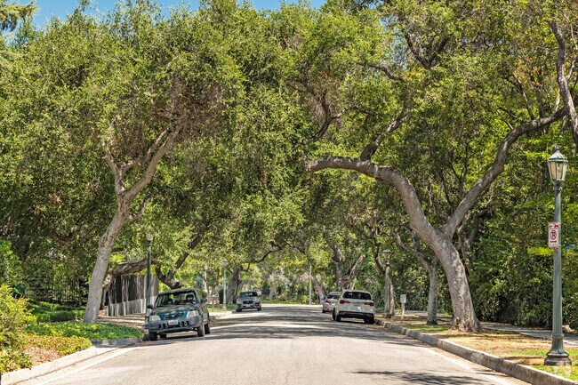 Mature trees line many of the Linda Vista streets.