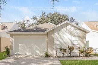 5723 Tanagerlake Rd, Fish Hawk, FL 33547