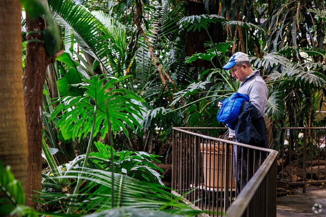 A man watches for birds in the aviary at Rosamond Gifford Zoo.