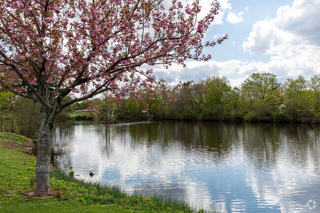 Newington residents enjoy walking the gentle paths around Mill Pond park and crossing over the waterfall.