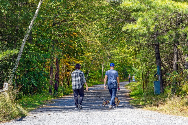 The Ashokan Rail Trail is a popular attraction, drawing thousands of visitors every year.