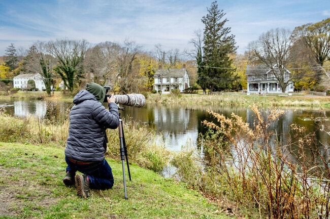 A photographer takes aim at the wildlife in the Setauket Millpond.