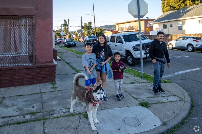 Friendly locals often walk with their dogs in Webster.
