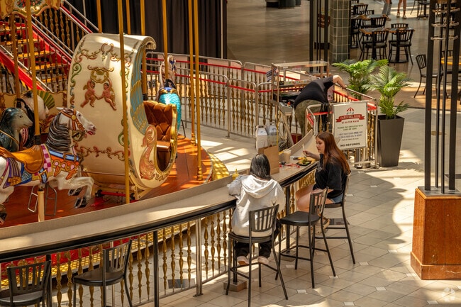 The Fox Valley Mall offers a carousel near the food court in the Fox Valley area.
