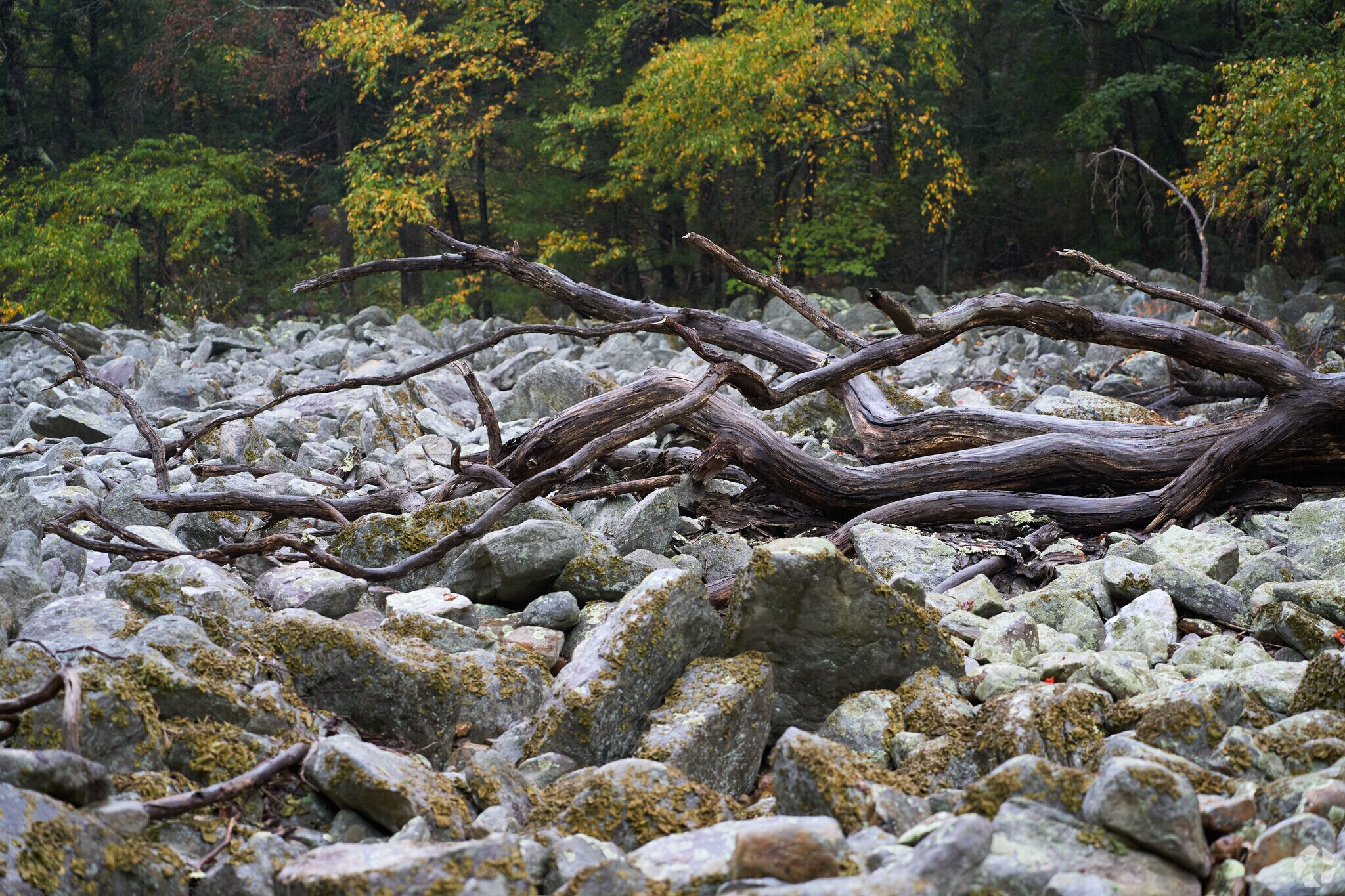 Explore the nearby section of the Appalachian Trail in Edgemont.