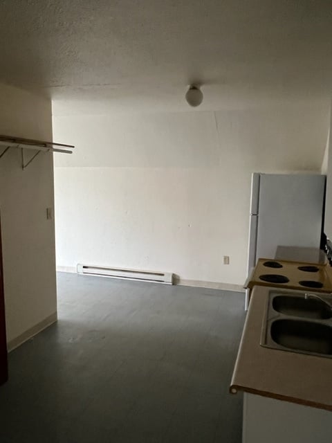 321 Shelden Ave unit 1, Houghton, MI 49931 - photo 4