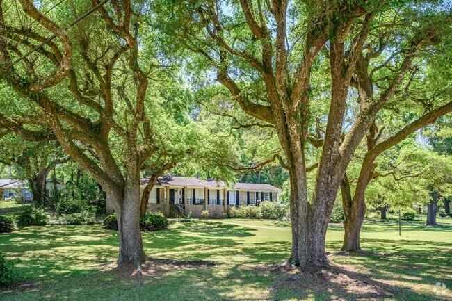 Large trees provide families a shaded place to rest in Skyland Park.