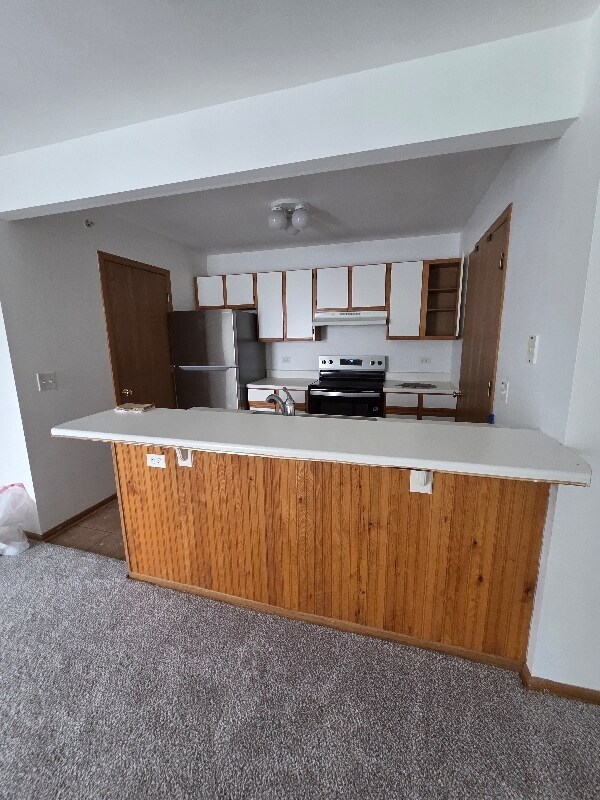 531 Leah Ln unit 2A, Woodstock, IL 60098 - photo 4