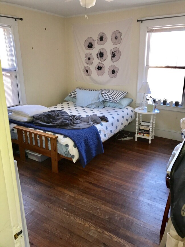 171 Hillside St unit 171 Hillside Street, Roxbury Crossing, MA 02120 - photo 7