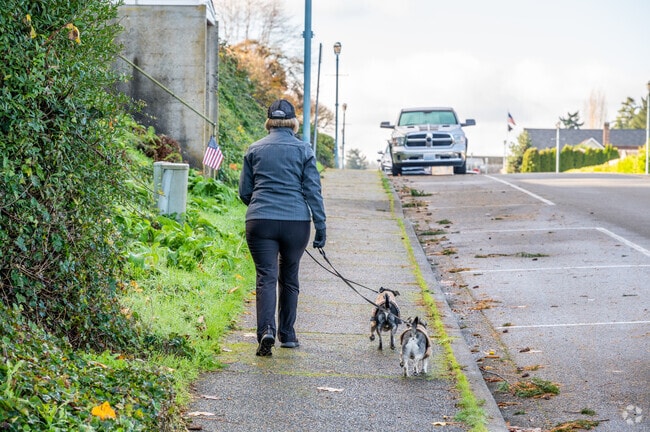 Plenty of walkways in Steilacoom make it easy to walk your dog in the morning.