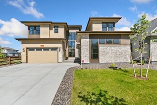 1720 Branching Canopy Dr, Windsor, CO 80550