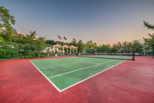 Tennis courts