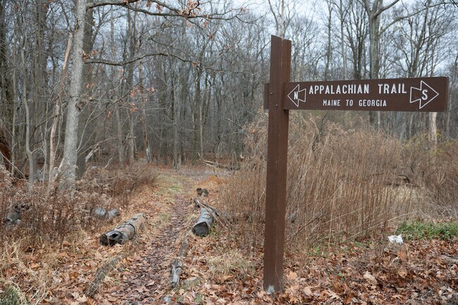Hike the Appalachian Trail from Maine to Georgia and pass through Bethel Township.
