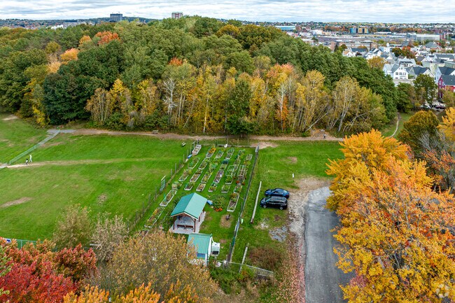 Parkside offers green space and a community garden is located adjacent to the schoo.
