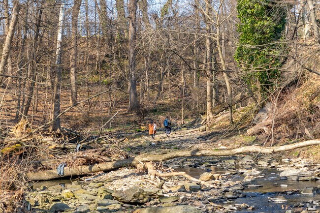 Hike along the Naylor's Run Creek in Upper Darby at Naylor's Run Park.