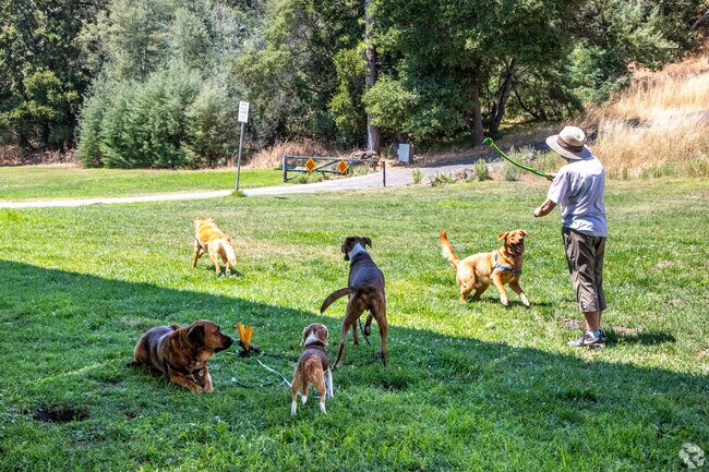 South Hamilton Park, a family-friendly recreational hub can entertain our furry friends, too.