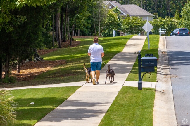 The Springfield neighborhood is a walkers paradise with the many sidewalks.