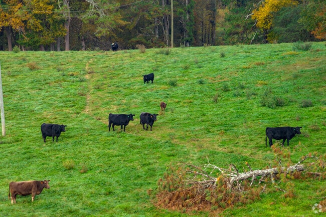 Farmland is found all over Mt. Zion, with active use farms.