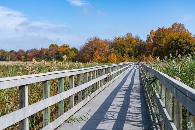 Enjoy scenic views along the boardwalk at Port Penn Wetlands Trail near Odessa.