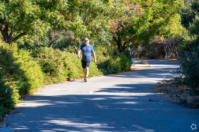 A peaceful stroll through Del Monte Park in Buena Vista's serene setting.