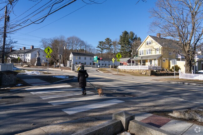 Residents love going on walks with their dogs in the town center of Carlisle.