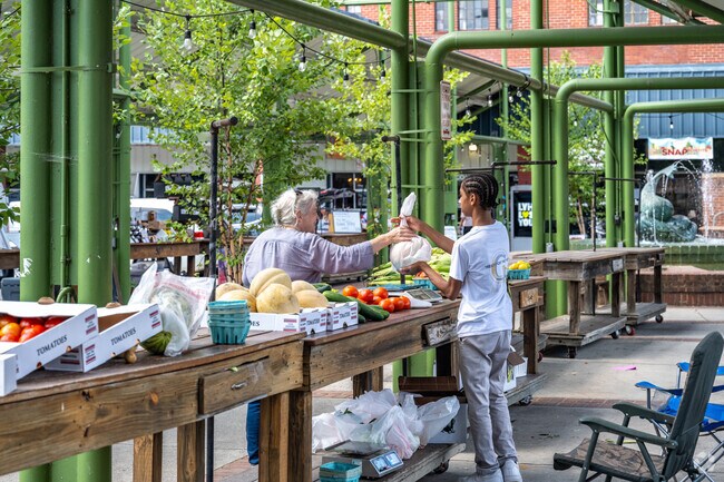 Spend a day in Downtown Lynchburg not far from Perrymont