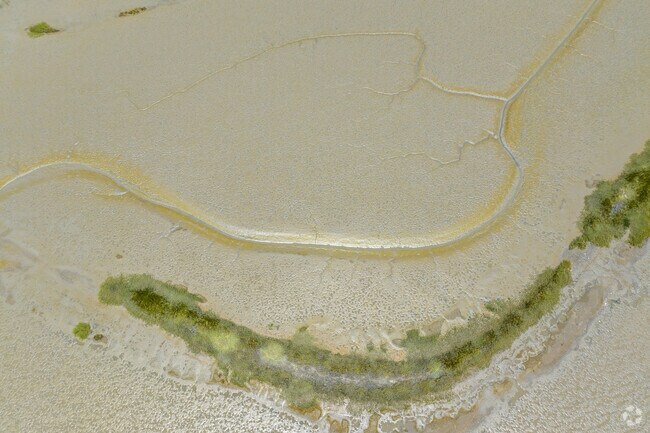 The Hamilton Wetlands, on the neighborhood's eastern side, is its main outdoor attraction.