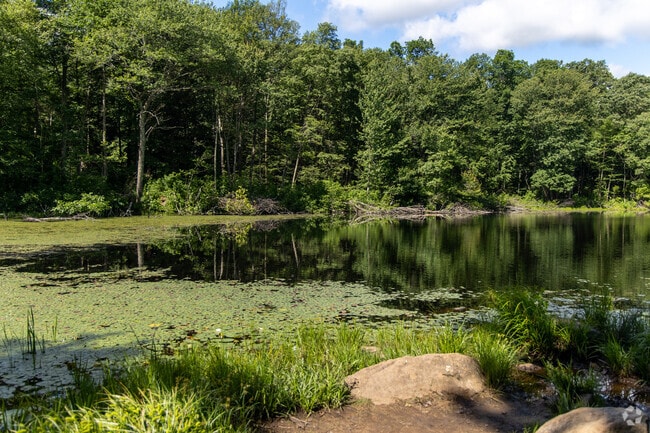 Day Pond State Park in Colchester offers fishing, swimming and hiking trails.