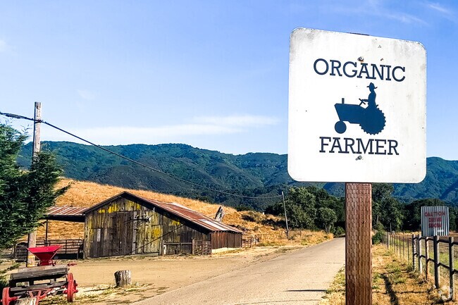 Solvang Farmers Market runs Wednesdays on First Street downtown.