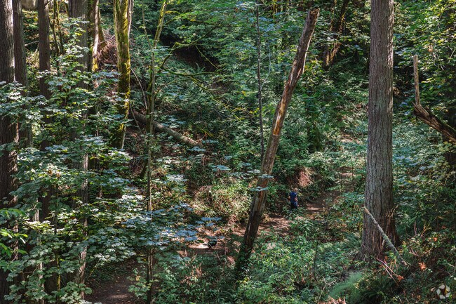 Enjoy the greenery at Garfield Nature Trail Park in Olympia.