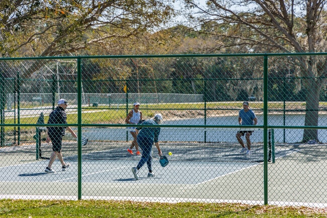 Oldsmar has a few pickleball leagues for anybody to join.