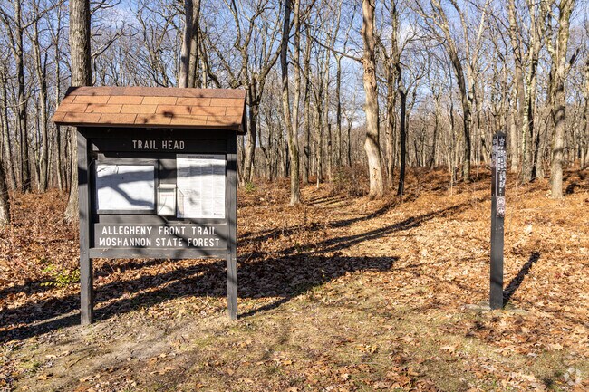 The Allegheny Front Trail head leads Union hikers along its 42-mile length.