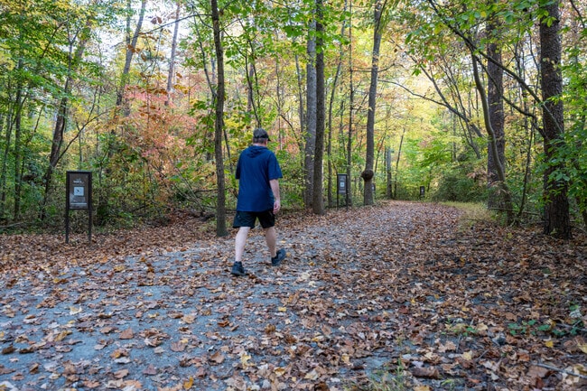The walking trails at Bethabara Park are a great place to exercise in Winston-Salem, NC.