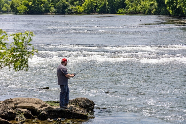 Grab your line and pole and head down to the waterfront on the South Fork Holston River for some fishing.