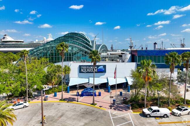 Check out the aquatic life in the local Channelside neighborhood at the Florida Aquarium.