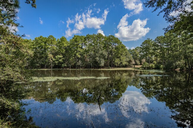 Spring Trails Lake is a nearby gem for Harmony residents to enjoy local wildlife and greenery.