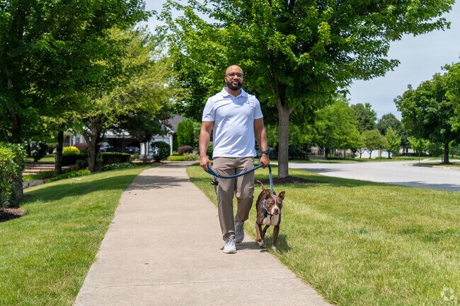 A Northwest Oswego resident walks his dog on a warm summer afternoon.
