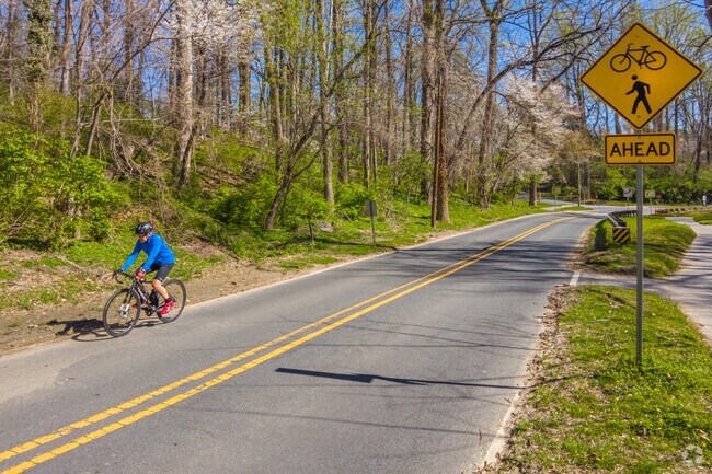 Enjoy a leisurely bike ride through South Kensington's Rock Creek Park.