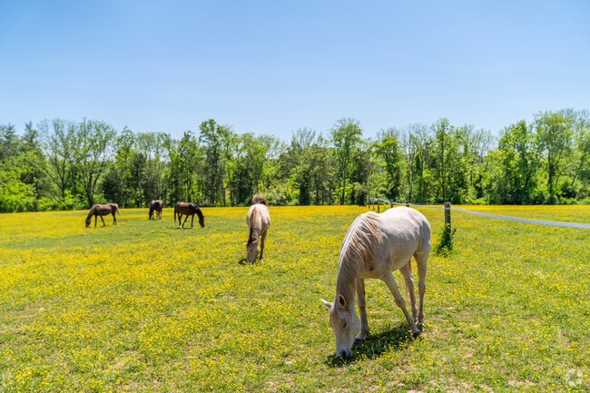 Skippack Trail offers scenic views of woods, ponds, and horse pastures in Skippack Township.