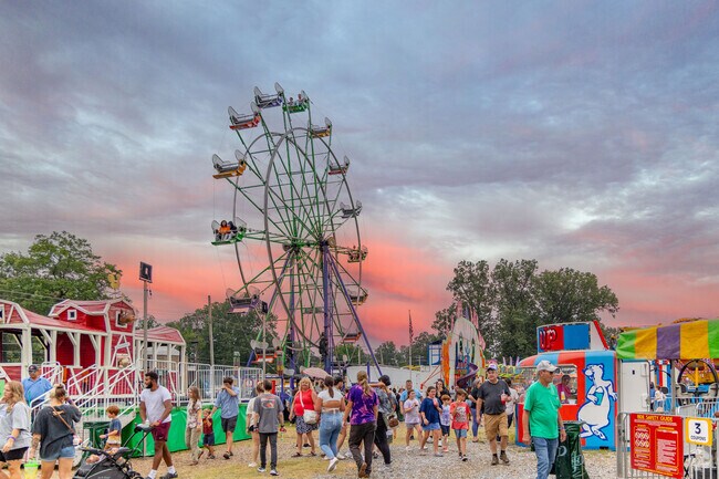 Paducah residents love attending the McCracken County Fair and riding the ferris wheel.